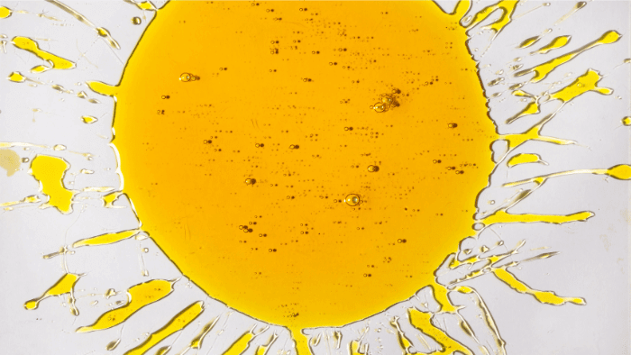 A sunflower Lecithin