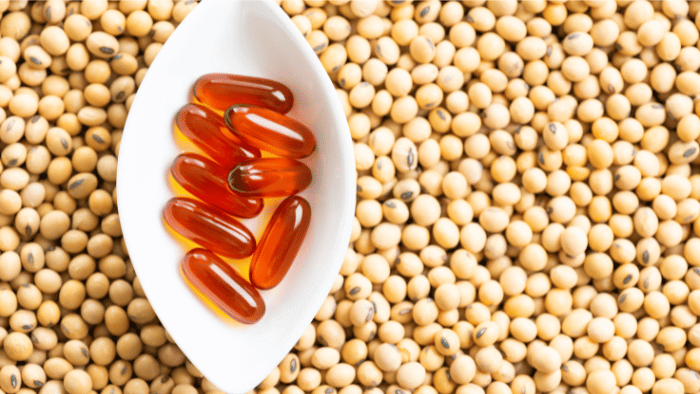 An image of sunflower lecithin - seeds and oil capsule