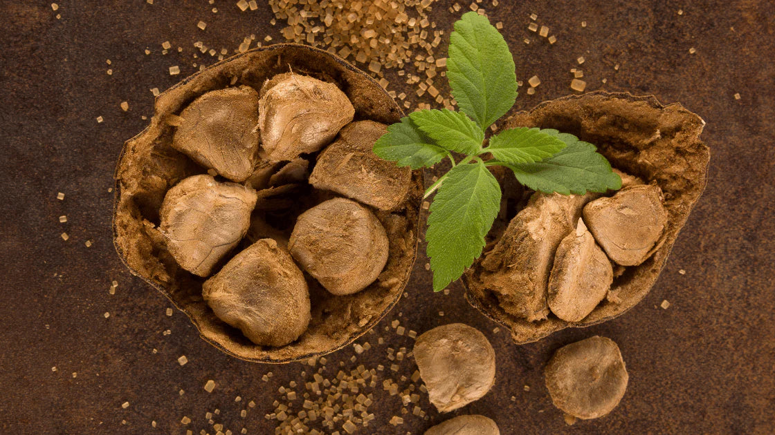 Monk fruit sweetener with fresh green leaves and dried monk fruit pieces on a rustic brown background, a natural sugar substitute with zero calories.