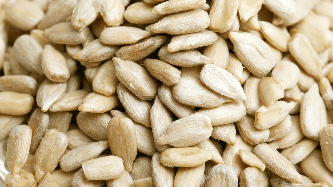 Nutritious sunflower seeds, a natural source of sunflower lecithin, aiding digestion, enhancing brain function, and supporting a balanced diet.