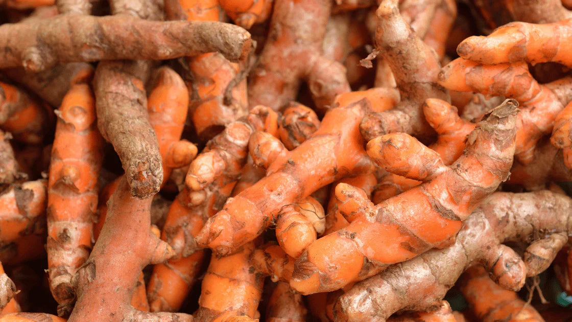 Fresh raw turmeric roots with earthy orange hue and textured skin, a powerful superfood known for its anti-inflammatory benefits and high curcumin content. Ideal for health-conscious cooking, herbal remedies, and natural wellness.