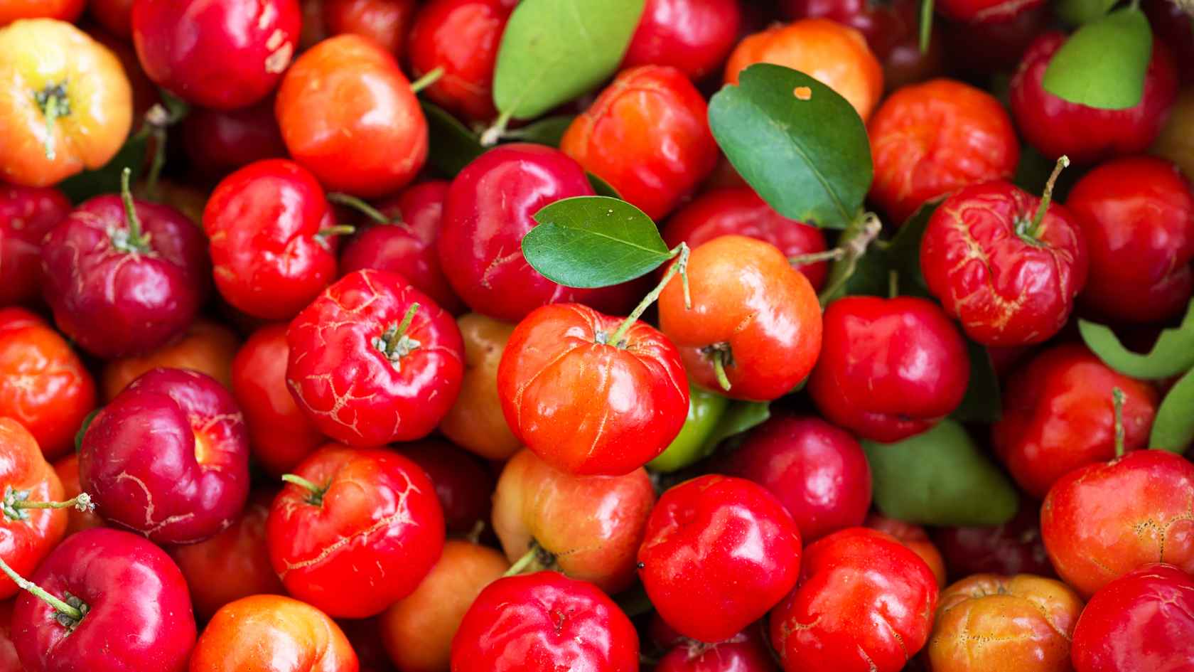 Resist Bars Ingredient antioxidant Acerola Cherry for hormone health
