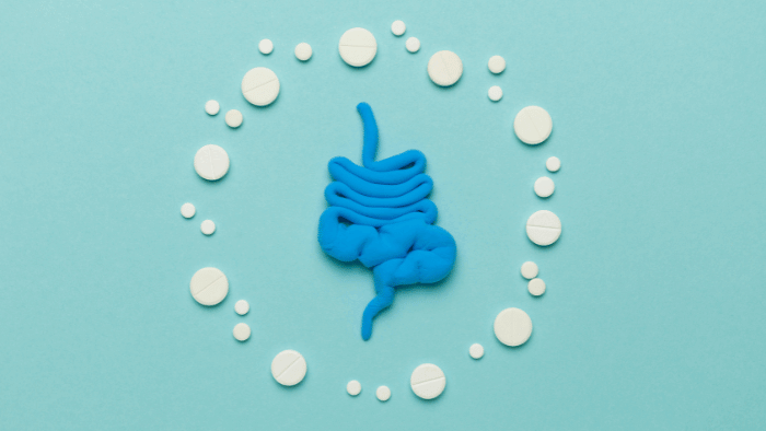 The importance of probiotics for optimal gut health