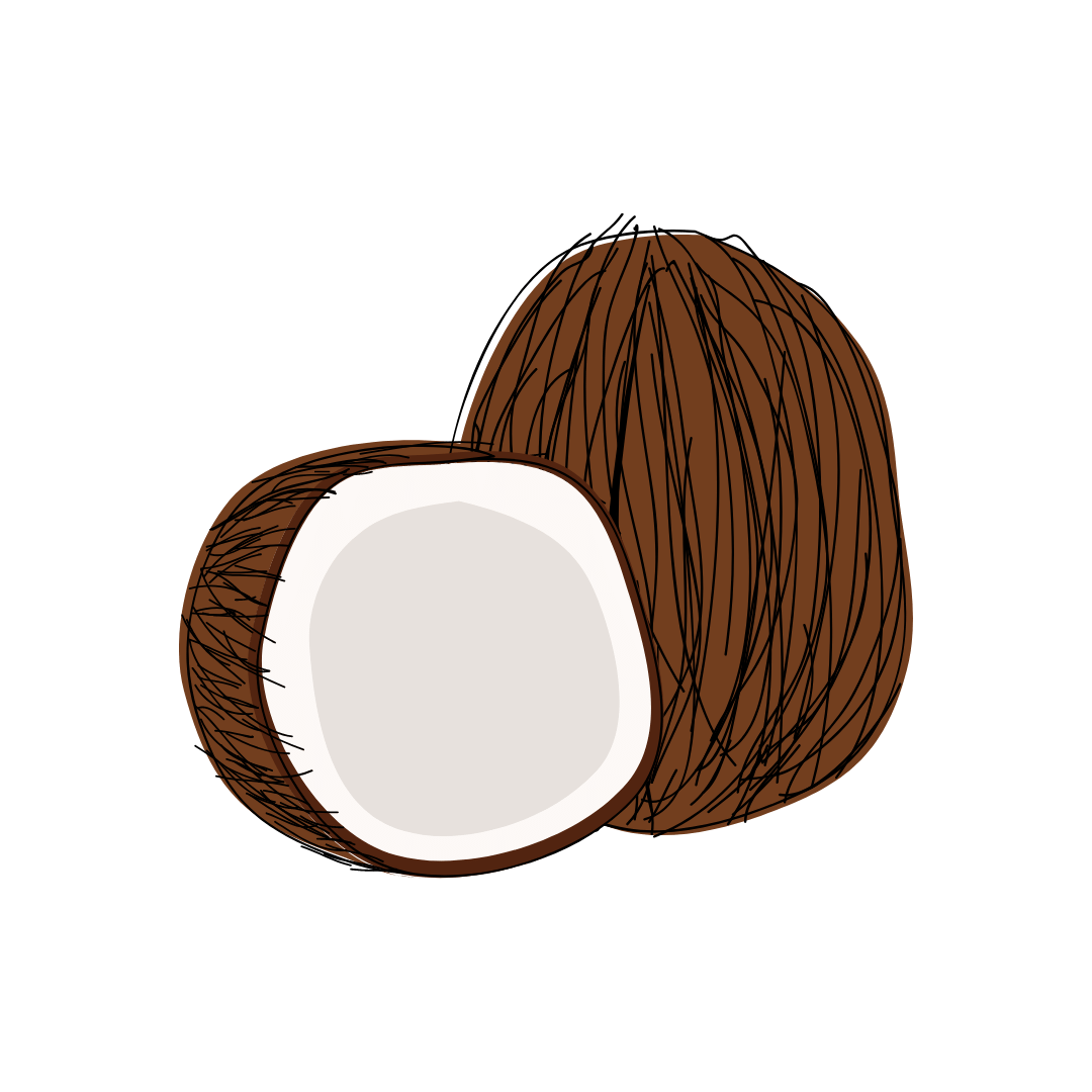 Coconut Healthy Fats Superfood Ingredient Drawing