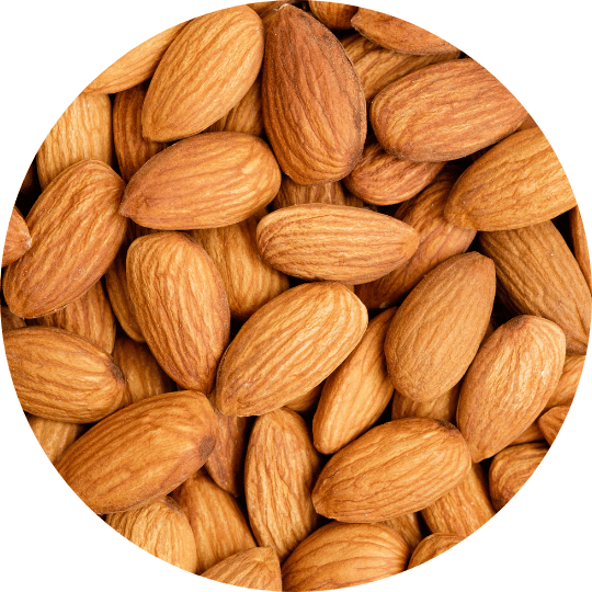 resist bars clean ingredients best protein bar brain food hormonal acne vitamin e almonds