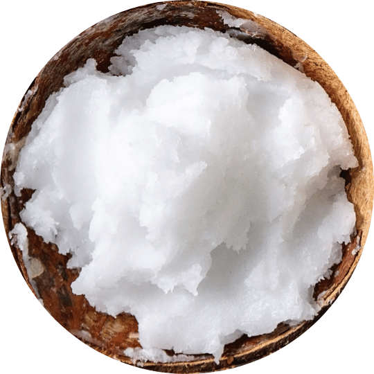 resist bars brain snacks blood sugar friendly diabetic friendly MCT oil from coconuts