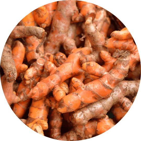 Why Choose Resist Bars? Healthiest, Nutritional Protein Bars